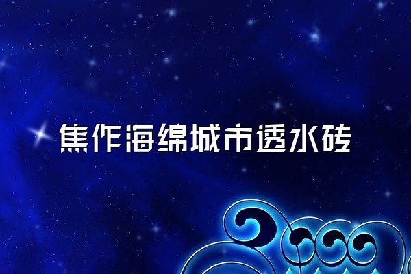 焦作海绵城市透水砖