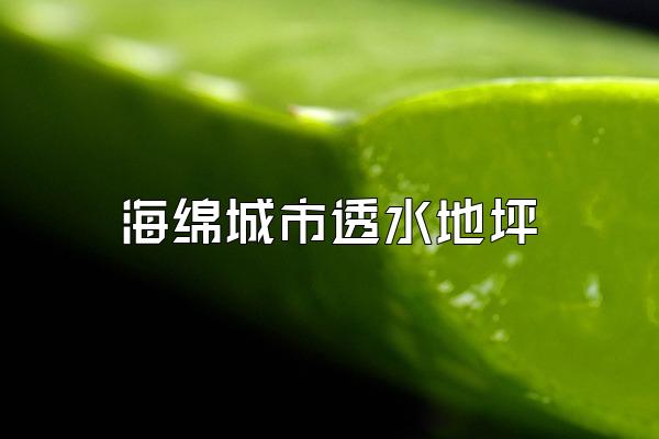 海绵城市透水地坪