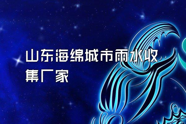 山东海绵城市雨水收集厂家