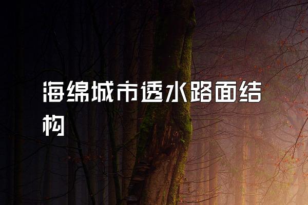 海绵城市透水路面结构