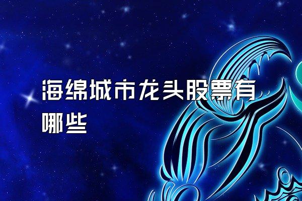 海绵城市龙头股票有哪些