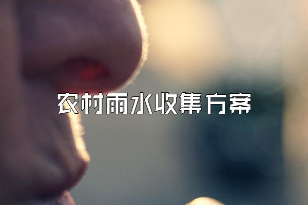 农村雨水收集方案