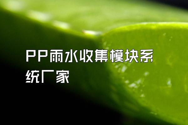 PP雨水收集模块系统厂家