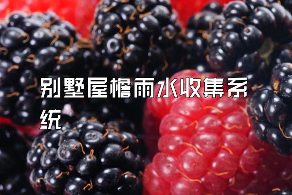 别墅屋檐雨水收集系统