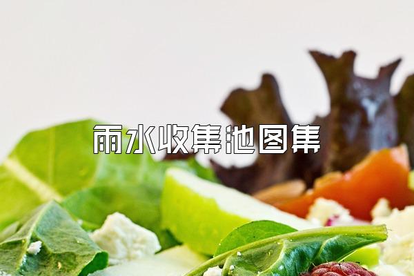 雨水收集池图集