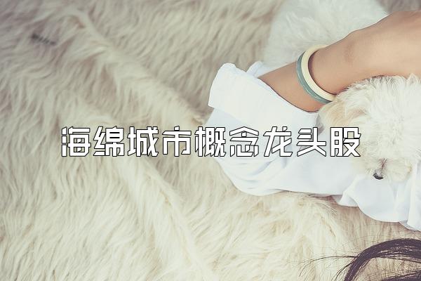海绵城市概念龙头股