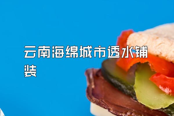 云南海绵城市透水铺装
