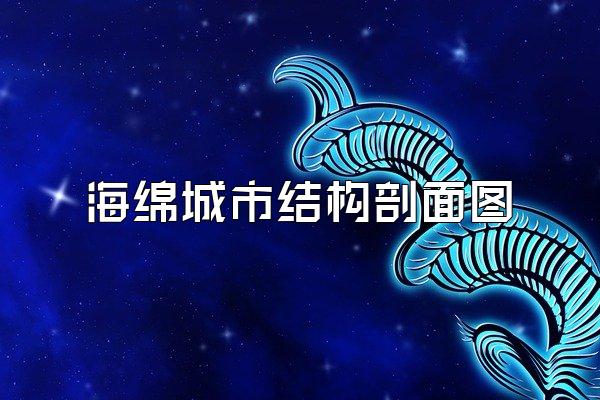 海绵城市结构剖面图