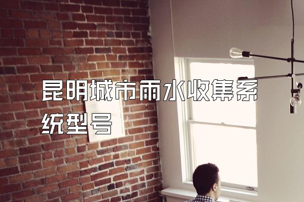 昆明城市雨水收集系统型号