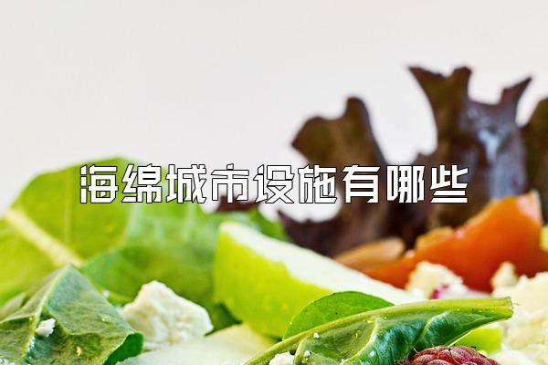 海绵城市设施有哪些