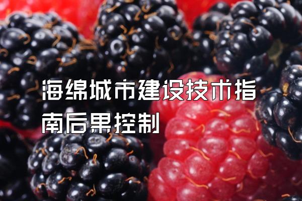 海绵城市建设技术指南后果控制