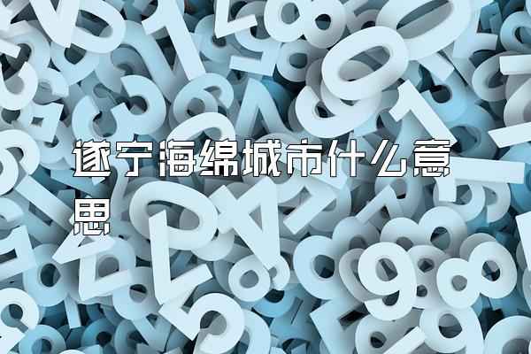 遂宁海绵城市什么意思