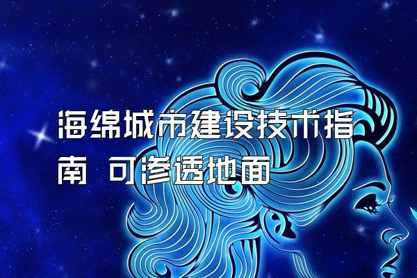 海绵城市建设技术指南 可渗透地面