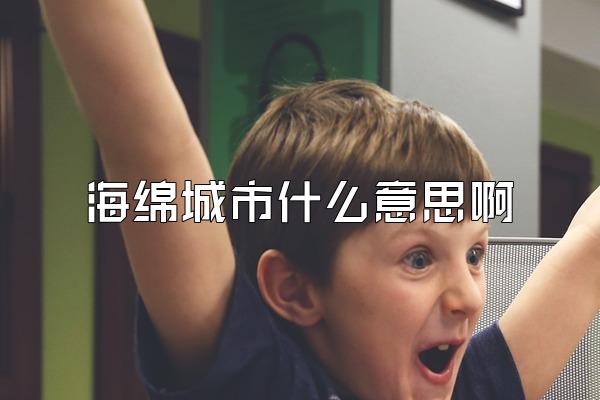 海绵城市什么意思啊