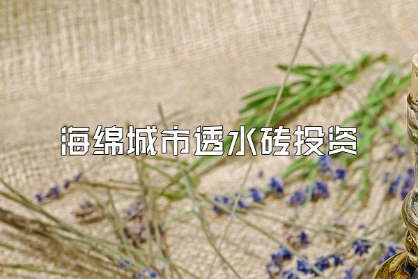 海绵城市透水砖投资