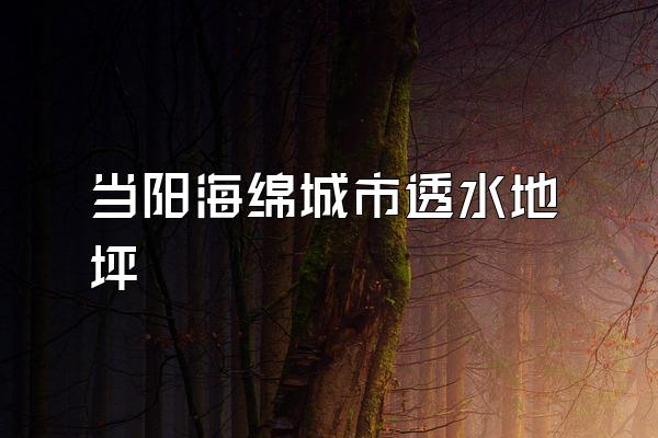 当阳海绵城市透水地坪