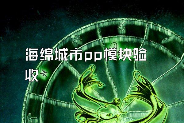 海绵城市pp模块验收