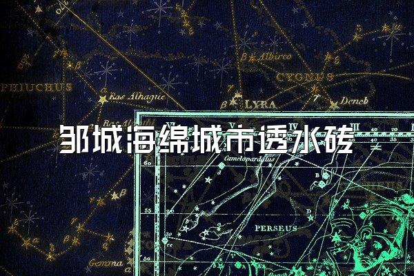 邹城海绵城市透水砖