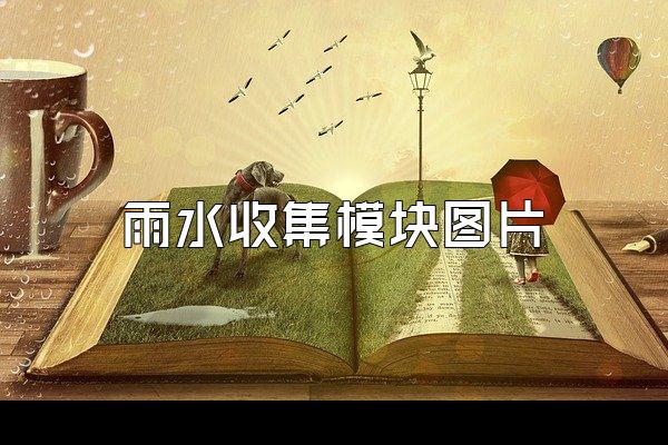 雨水收集模块图片