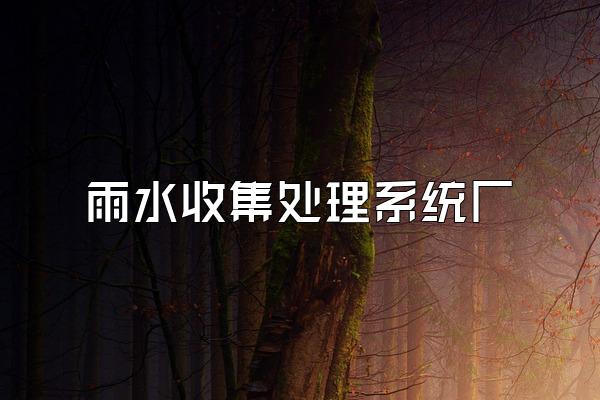 雨水收集处理系统厂