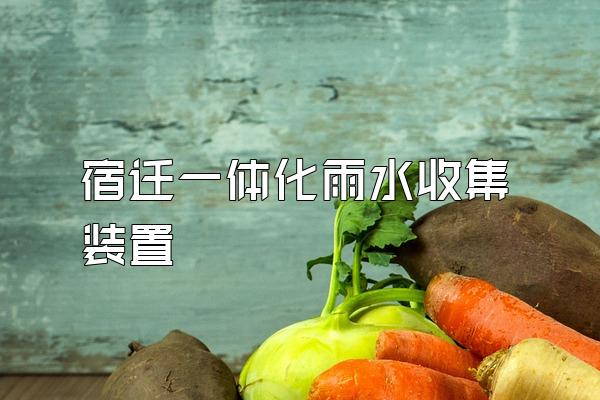 宿迁一体化雨水收集装置