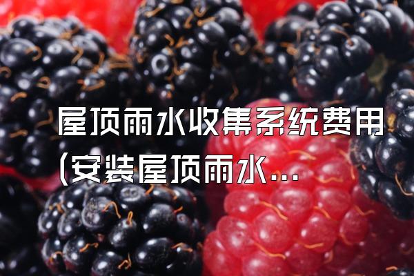 屋顶雨水收集系统费用(安装屋顶雨水收集系统的费用)