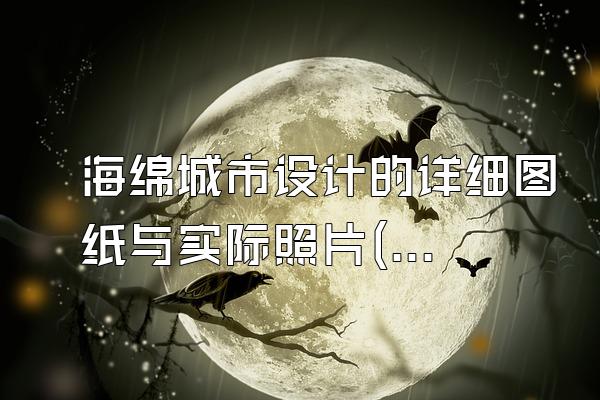 海绵城市设计的详细图纸与实际照片(展示海绵城市设计的详细图纸与实际施工照片)
