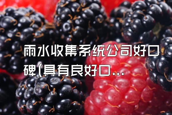 雨水收集系统公司好口碑(具有良好口碑的雨水收集系统公司)
