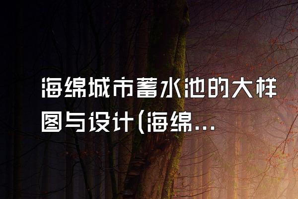 海绵城市蓄水池的大样图与设计(海绵城市蓄水池的大样图与详细设计)