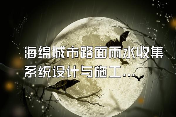 海绵城市路面雨水收集系统设计与施工指南()