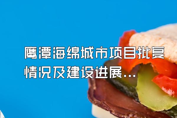 鹰潭海绵城市项目批复情况及建设进展介绍()