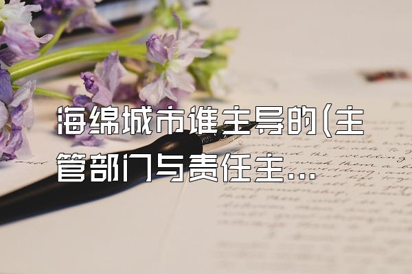 海绵城市谁主导的(主管部门与责任主体)