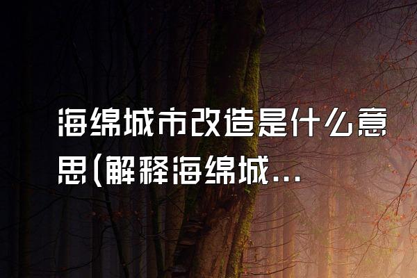 海绵城市改造是什么意思(解释海绵城市改造的定义和目的)