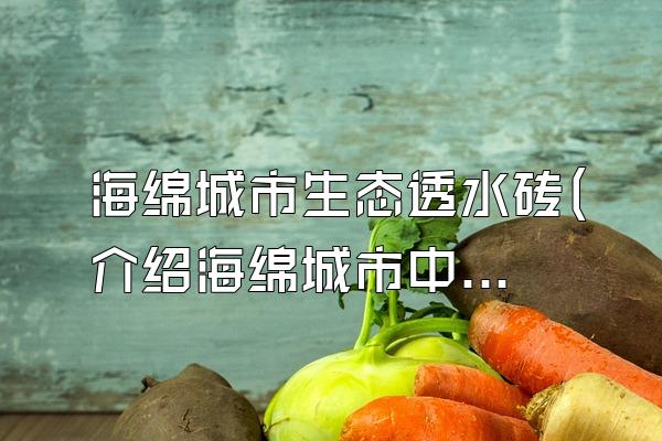 海绵城市生态透水砖(介绍海绵城市中使用的生态透水砖)