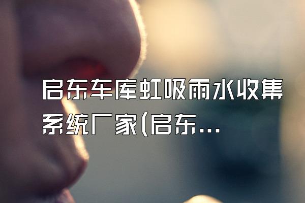 启东车库虹吸雨水收集系统厂家(启东地区车库虹吸雨水收集系统的厂家)