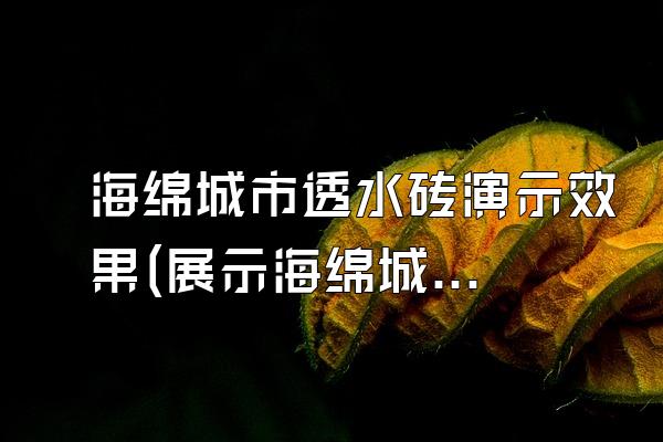 海绵城市透水砖演示效果(展示海绵城市透水砖的实际效果和特点)