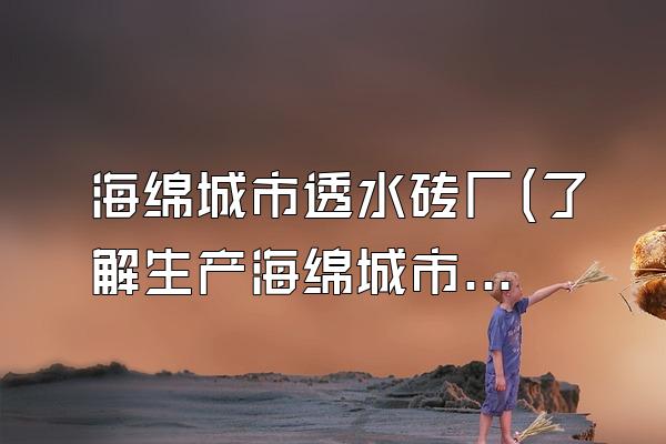 海绵城市透水砖厂(了解生产海绵城市透水砖的厂家)