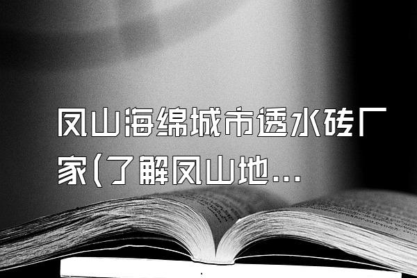 凤山海绵城市透水砖厂家(了解凤山地区海绵城市透水砖的生产厂家)