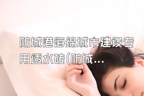 防城港海绵城市建设专用透水砖(防城港地区海绵城市建设所需的透水砖产品)