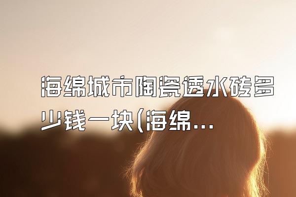 海绵城市陶瓷透水砖多少钱一块(海绵城市所使用的陶瓷透水砖的价格)
