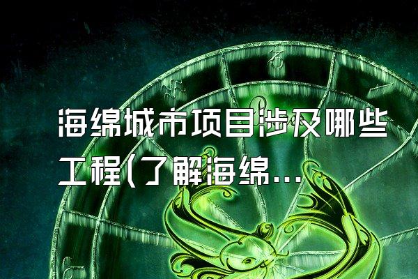 海绵城市项目涉及哪些工程(了解海绵城市建设项目中涉及的各项工程)