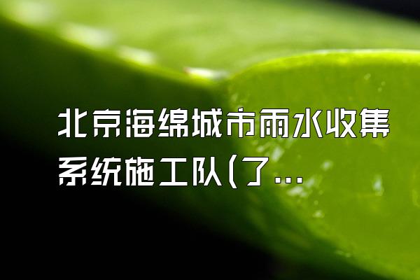 北京海绵城市雨水收集系统施工队(了解北京地区专业的海绵城市雨水收集系统施工队伍)