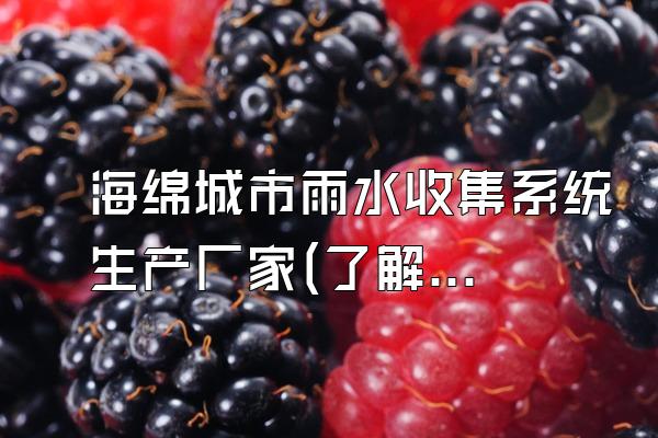 海绵城市雨水收集系统生产厂家(了解生产海绵城市雨水收集系统的厂家)