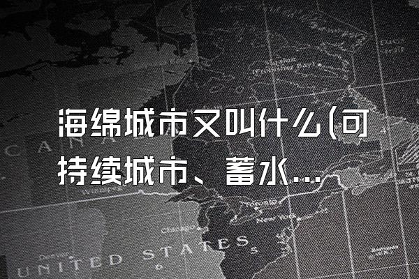海绵城市又叫什么(可持续城市、蓄水城市)