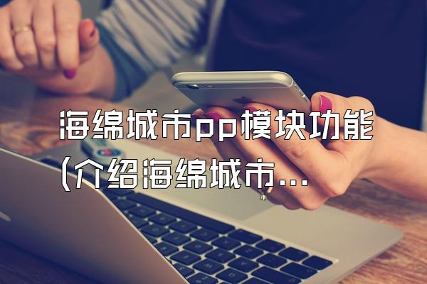 海绵城市pp模块功能(介绍海绵城市中使用的PP模块的功能和特点)