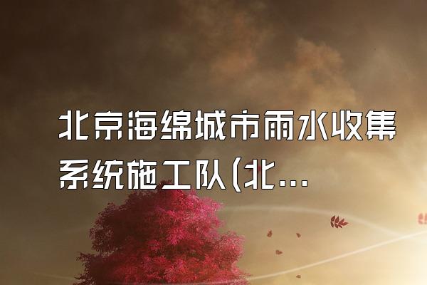 北京海绵城市雨水收集系统施工队(北京地区的海绵城市雨水收集系统施工队)