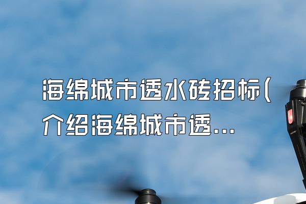 海绵城市透水砖招标(介绍海绵城市透水砖的招标情况)