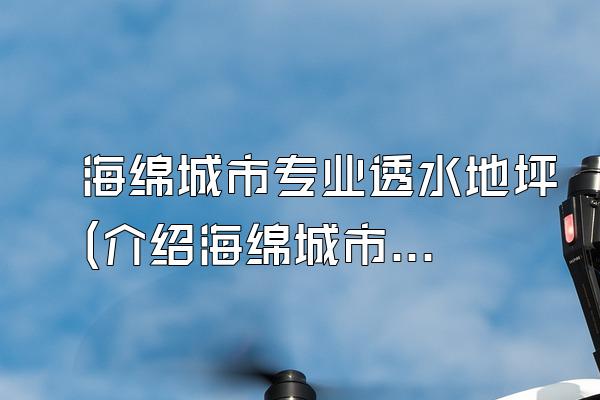 海绵城市专业透水地坪(介绍海绵城市中的专业透水地坪)