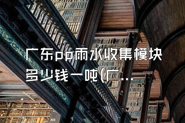 广东pp雨水收集模块多少钱一吨(广东地区pp雨水收集模块的价格每吨)