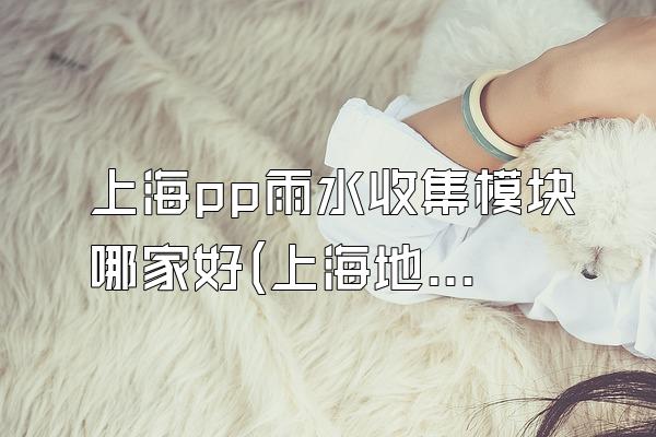 上海pp雨水收集模块哪家好(上海地区优秀的pp雨水收集模块供应商)
